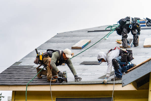 Professional Roof Inspection technician working in Lake George, MN